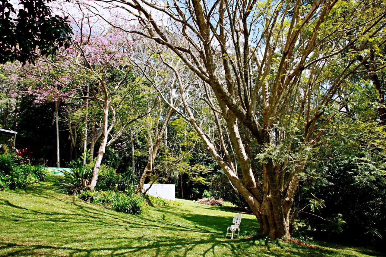 Maleny Monet Studio Ngoại thất bức ảnh